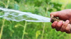 hosepipe